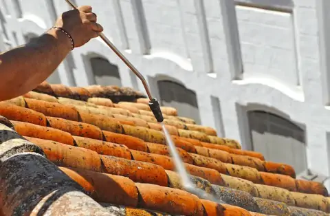 Nettoyage de toitures - Saint-Sauveur-sur-Tinée